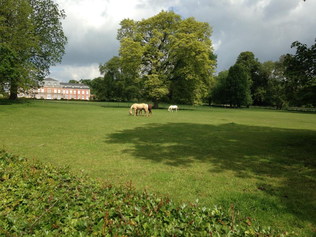 B&B De Henehoeve Heks Exteriér fotografie