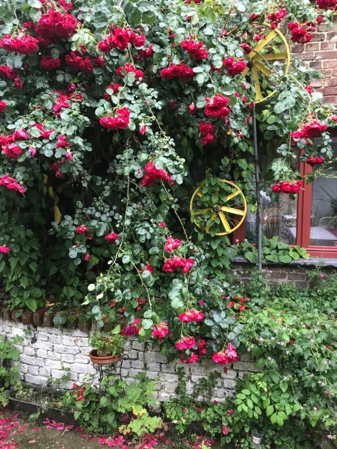 B&B De Henehoeve Heks Exteriér fotografie